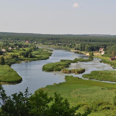 Maliovnytsya Guest House Dybintsy Exterior photo