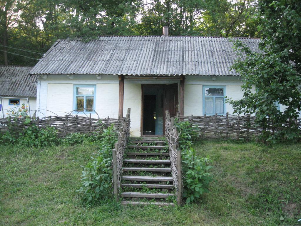 Maliovnytsya Guest House Dybintsy Exterior photo