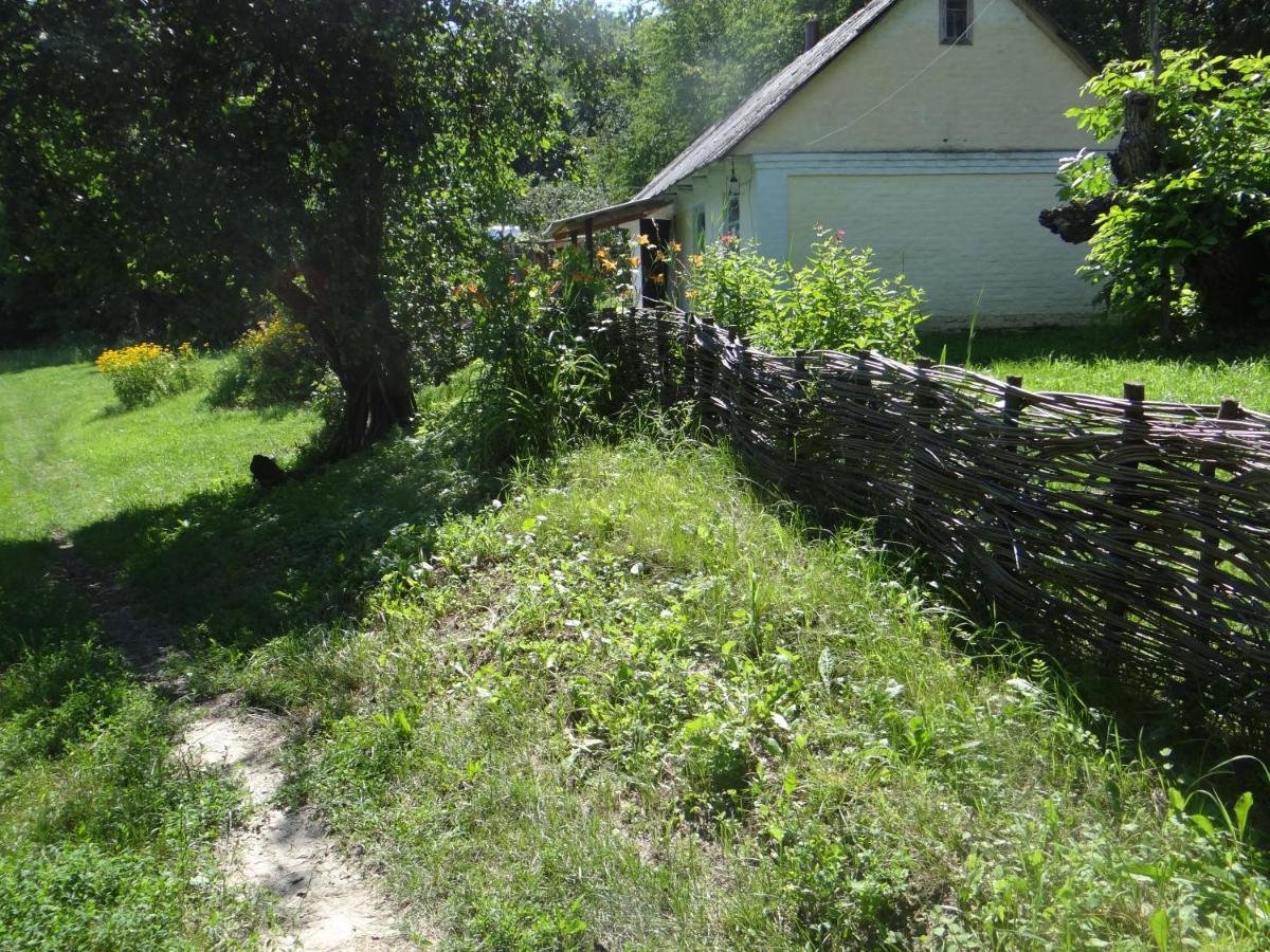 Maliovnytsya Guest House Dybintsy Exterior photo