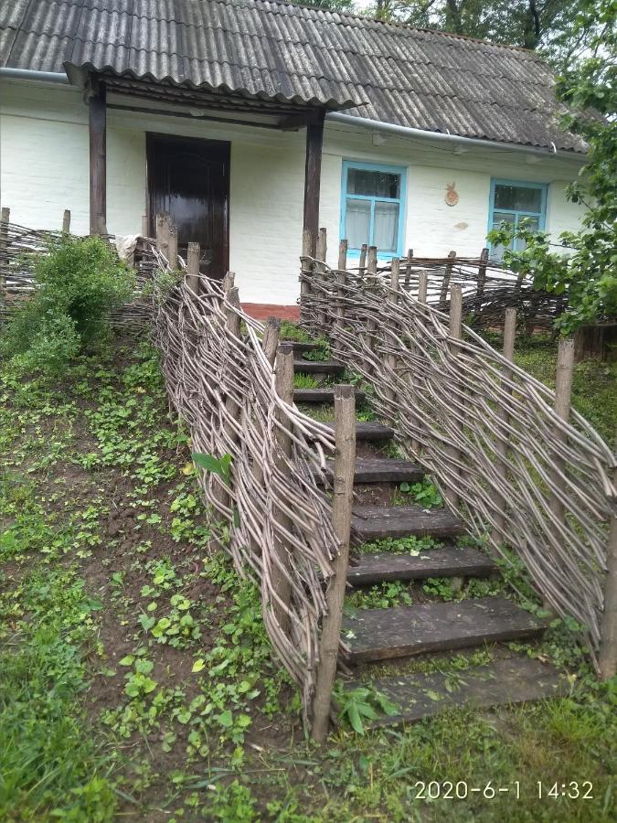 Maliovnytsya Guest House Dybintsy Exterior photo