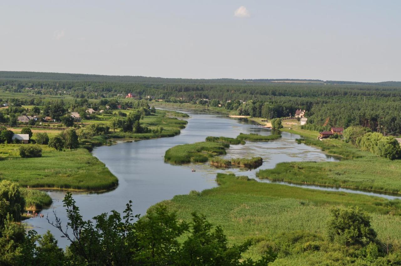 Maliovnytsya Guest House Dybintsy Exterior photo